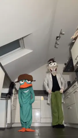 Mood #perrytheplatypus #costume #DIY #germany 