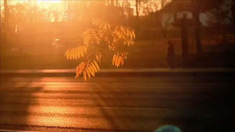 Miêu tả tâm trạng hiện tại của bạn bằng 2 từ...?