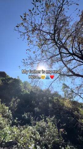 #trending #contentcreator #creatersearchinsights #viral 