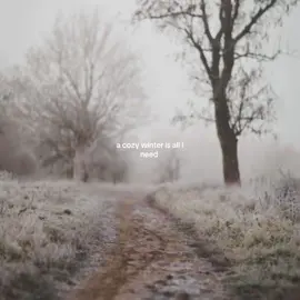 a cozy winter #fyp #foryoupagе #winter #snow #aestheticvideos 