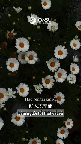 Tôi chỉ muốn làm một người bình thường, đơn giản, vui vẻ năm này qua năm khác #onbu #hoctiengtrung #tiengtrungmoingay #podcasttiengtrung #dongluc 