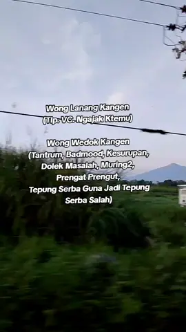 Bukan Kah Begitu ????  😁😁 #fyp #foryou #foryoupage #trending #viral 