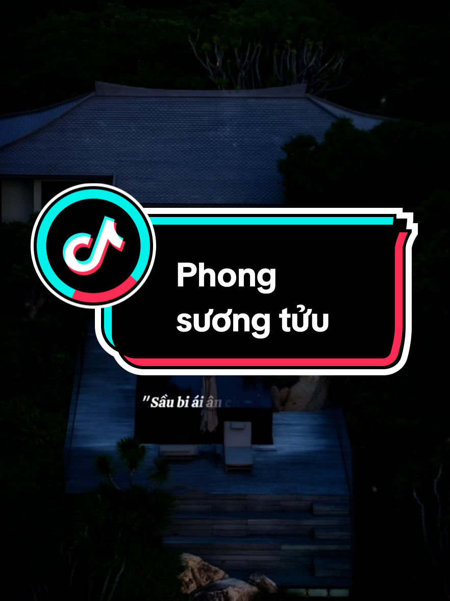 Mượn gió đêm nay làm ta say,,tình si khiến ta thật hồ đồ....#nhipcamxuc_95 #sbtentertainment #nhachaymoingay #fyp 