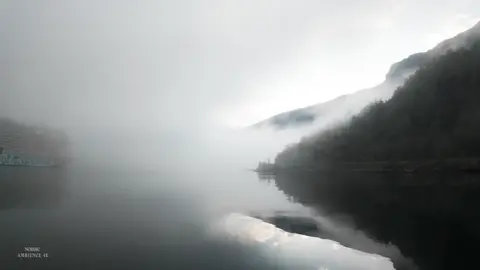 Để Em Rời Xa - Kenbjn #amnhacvacamxuc #kenbjn 