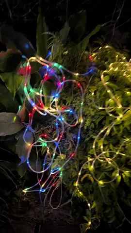 Đèn LED cổ tích năng lượng mặt trời ngoài trời #daydenlednangluongmattroi #denledongnangluongmattroi #densanvuonnangluong 