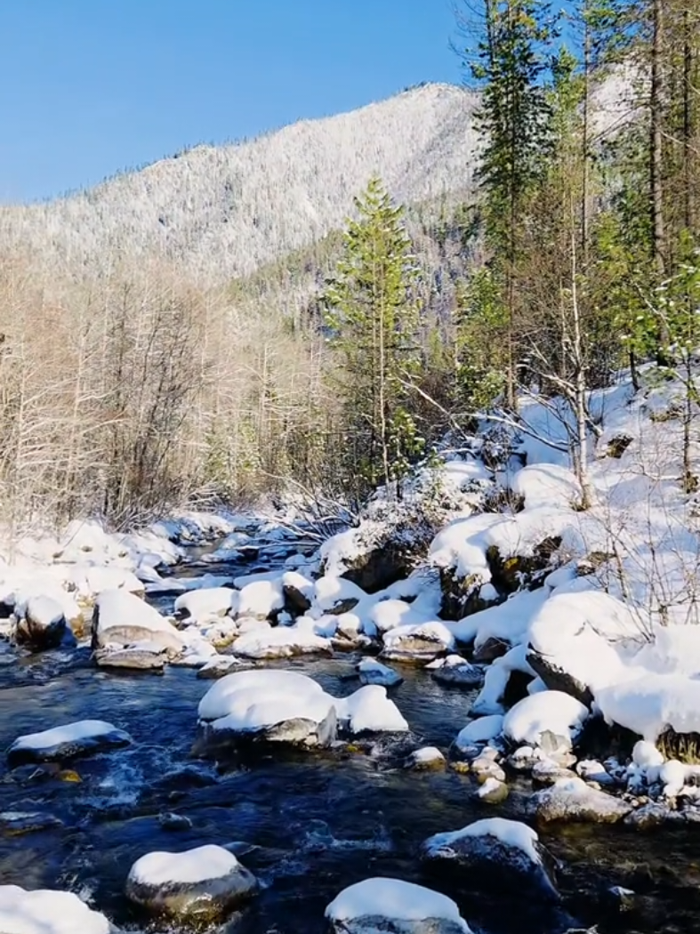 Сегодня холодно в горах #8.11.2025 #осень #тайга #Сибирь #Хамар-Дабан 