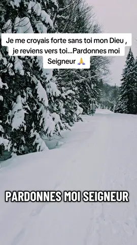 #hiver #weekend #adorationchretienne🙏🙏😊❤️ #pourtoi #viraltiktok 