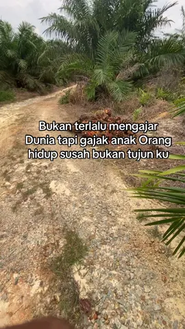 #kuliswit#sawit#fypppp 