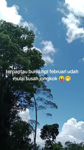 #kontenhamil #ibuhamil #fyppppppppppppppppppppppp #hplfebruari2026 