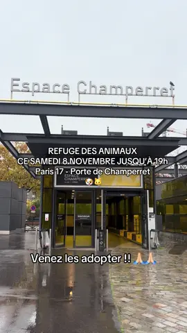 Venez adapter ces loulou 🐶🐱 c’est uniquement aujourd’hui 08/11 jusqu’à 19h à l’espace Champerret dans le 17e à Paris. #chien #chat #adoptionchien #adoptionchat #refugeanimalier 