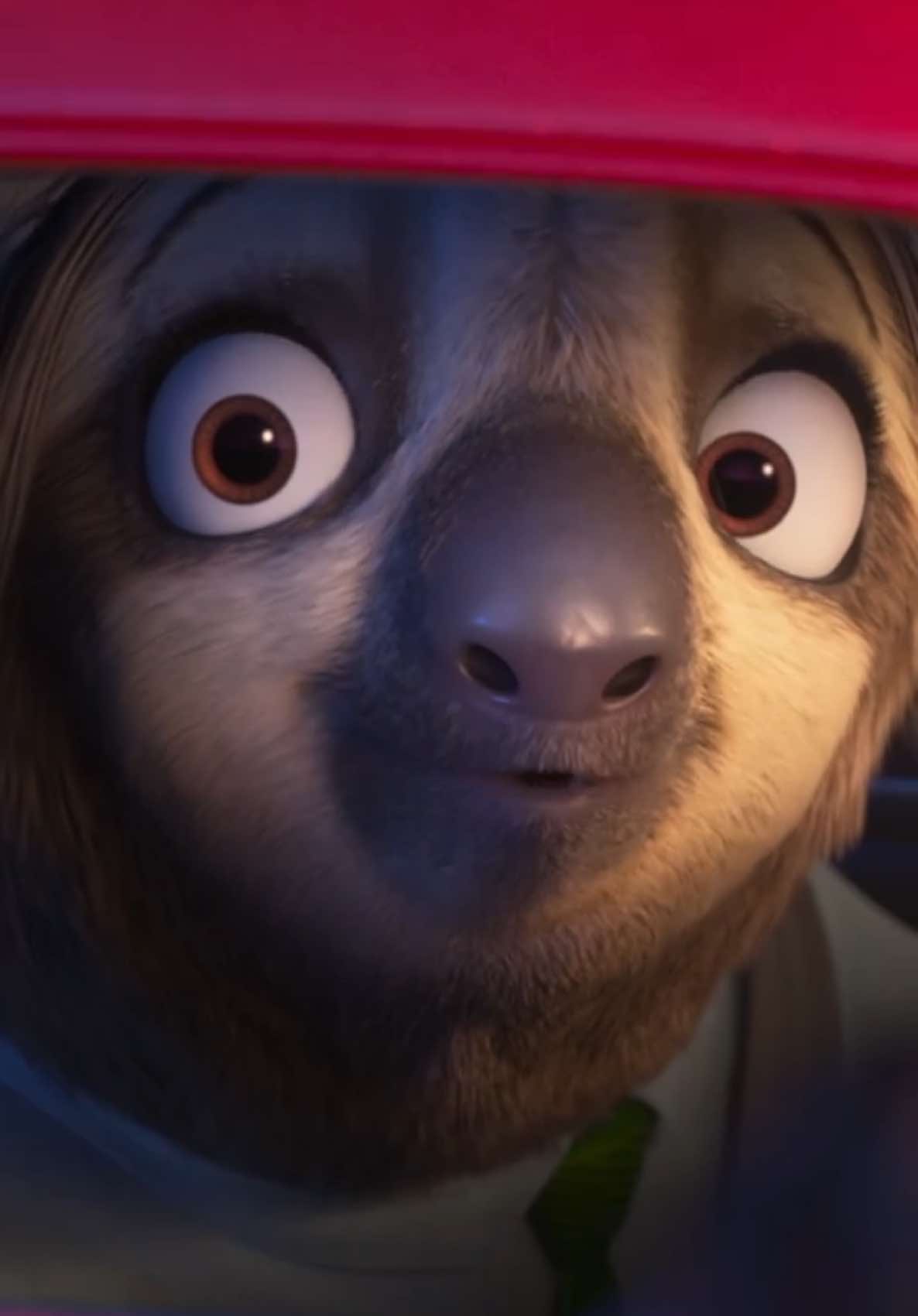 Nick e Judy hanno bisogno anche del tuo aiuto! 🦊🐰 Scopri come usciranno dai guai in #Zootropolis2 solo al cinema dal 26 Novembre. #davedere #CinemaTok #DisneyItalia