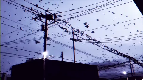 1 char bá hơn Itachi?#anime#animeedit#quocwiet#itachi#xh 