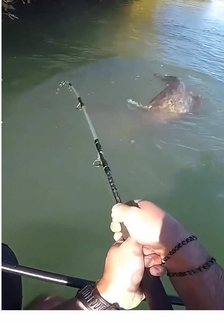 #fishing #catfish #lure #fyp 