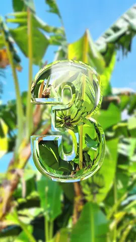 Ingin ku petik bintang .😎🤟#cinematography #foryou #bojonegoro24jam #masukberandafyp #fypシ゚ #colorgrading #fyppppppppppppppppppppppp #redminote13pro5g #capcut #cinematicaesthetic #fypp #HD #edge #4u #cinematic #4k30fps #4k