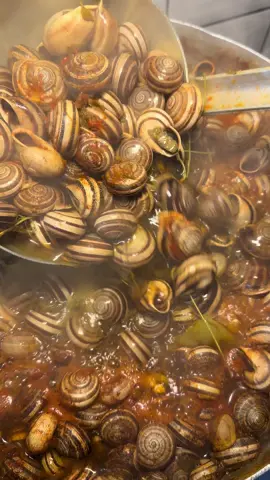 #foryoupage #restaurant #viral #oran #algeria #tlemcen #sétif #fyppppppppppppppppppppppp #event #maghnia #foryou #food #fyp 