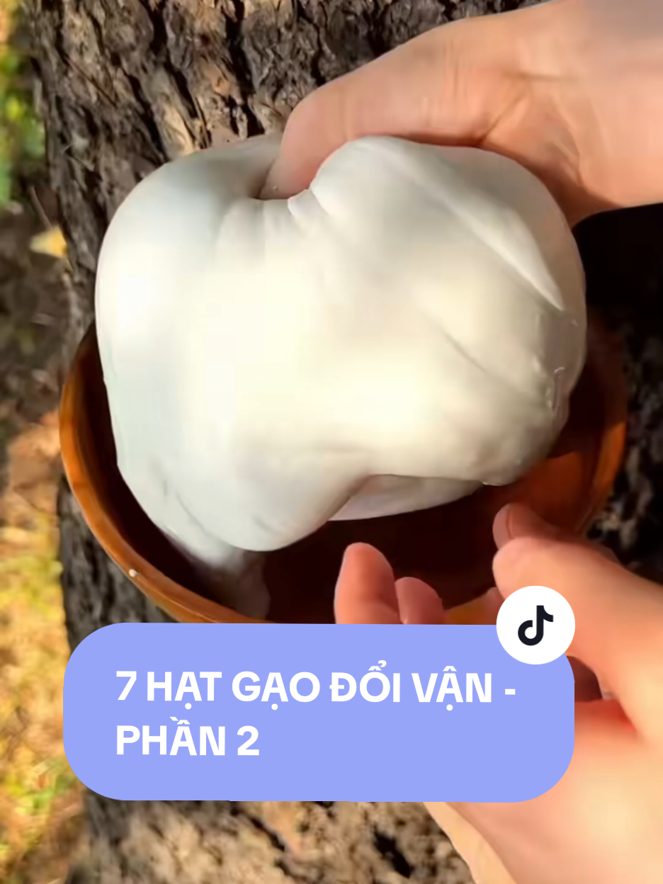 full 7 HẠT GẠO ĐỔI VẬN - PHẦN 2 trên kênh YTB VỊT VỊT AUDIO #truyenngan #truyenhay #truyenaudio #foryou #xuhuongtiktok 
