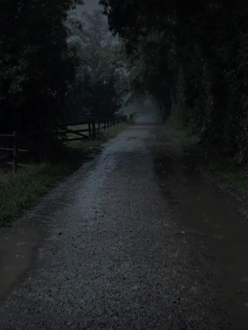 جَرح شُوكيِ 💔! ... #باسم #الكربلائي  #باسم_الكربلائي  #قصائد_حسينيه  #shots 