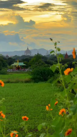 သိပ်လှတဲ့ ညနေခင်းလေးပေါ့ ချစ်သောရေ  #foryou  #bagan  #baganlover 