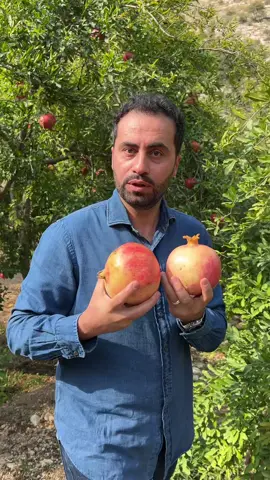 تواصلوا مع العم ابو ثامر اذا بتحبوا تعيشوا التجربة على رقمه: 00 962 7 7685 8497