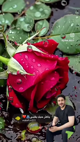 #creatorsearchinsights 