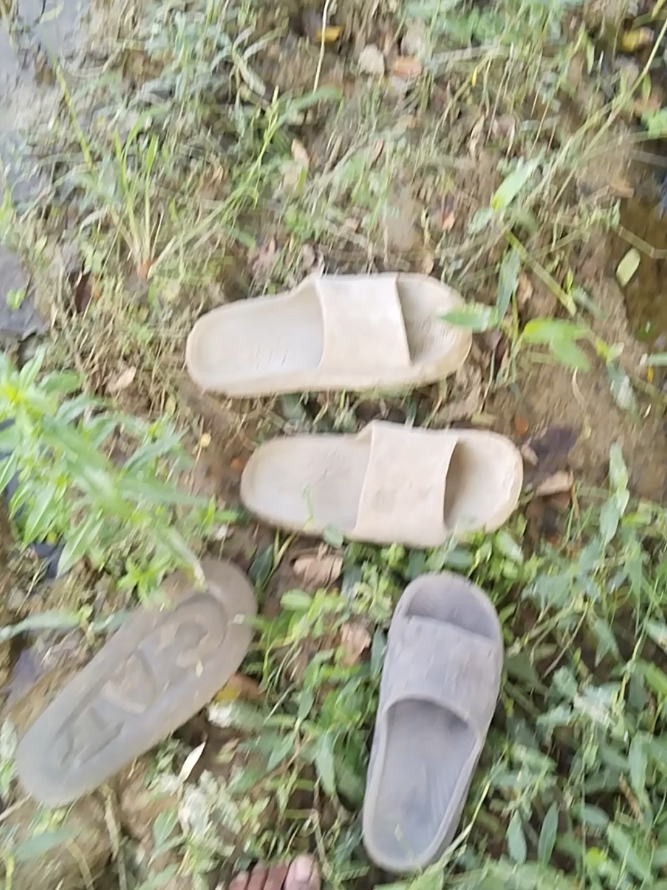 #tanviroffking #foryoupageofficiall #fyp 