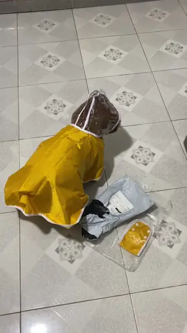 là sao làm dì màii liếc tao bộ mua áo mưa cho mặc cũng có lỗi  dới nó hay dì#muốithíchbơi #xuhuongtiktok 