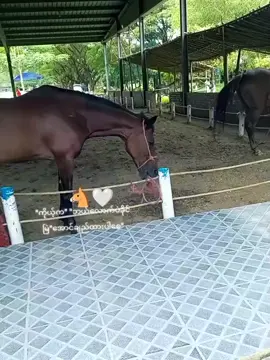 #ဘယ်ကြိုးနဲ့ချည်ချည်မမြဲခဲ့ပါဘူး😅