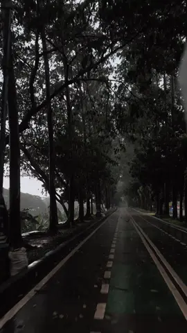 somewhere only we know?