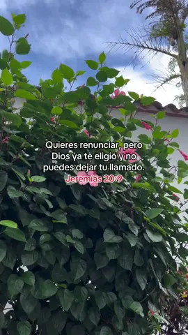 Que Dios te bendiga hoy mujer de fe ✝️🛐 #palabradedios #quediostebendigasiempredondevaya #diosteama #eresjoven #jovenacuerdatedetucreador #mujerbendecida #mujeraltovalor #mujeramadapordios #mujerrenovada #mujervaliente #mujervirtuosaencristo #jovenapasionadaporjesús #letrascristianas #musicacristiana #mujerdedios #jovendecristo #vidacristiana #videoscristianos #hagamosviralajesús #amada #perdonada #restaurada #sanada #diossanacorazones #reelscristianos #gospelmusic #tiktokcristianos #videosgospel #elplandedios #mujercristiana #proverbios3129 #mujervirtuosa #mujerguerrera #mujerluchadora #princesaamada #princesaperdonada #princesasanada #princesarestaurada #princesarescatada #versiculosbiblicos #mensajebiblico #ereselegida #eresprospera #christiangirl #pentecostal #asambleasdedios #bendiciones #felizdia #diostedicehoy #mujeresdefe #eresunica #eresbendecida #eresunaguerrera #eresunahijadedios #mujerdevalor #mujerhonesta #mujersincera #mujerintegra #mujerbonita #mujerhumilde #mujeramorosa #mujeradoradora #mujerqueamaadios #mujerqueestudialabiblia #damadehonor #mujerdiferente #mujerradical #reinadedios #mujerdioslohara #mujerdiosteama #princesaqueora #confiasendios #confiaendiosdiosesbueno #paradiostodoesposible #benditoesdios #confiaenjesus #diosharacosasgrandes #nohaynadaimposibleparadios #todolopuedoencristoquemefortalece #todolopuedeslograr #diostelevantara #diostesanarasolotenfé #diosteperdona #diossoplavida #diosteguarde #busqueadios #clamaamidiceelseñor 