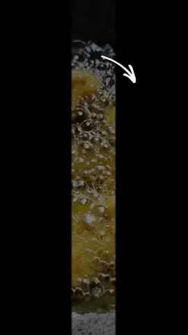 পরিবেশন করার আগেই কড়াই থেকেই খাওয়া হয়ে যায়😵‍💫#sinthiaheaven #cooking #cauliflower 