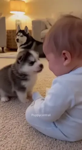 Bestfriends for life ❤️😇#cute #baby #funny #fyp 