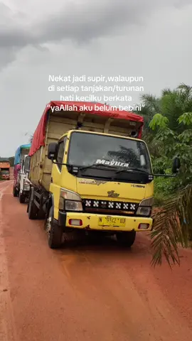 #tambangbijibesi #trukkalimantan #stylekalimantan #lewatberandafypシ #fyppppppppppppppppppppppp 