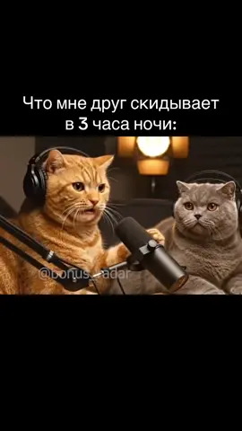 #fyp #рекомендации #коты #meme #kidzoo 