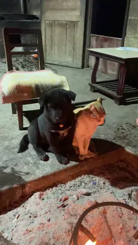 chỉ còn 101 ngày nữa ta lại đón cái tết sum vầy...