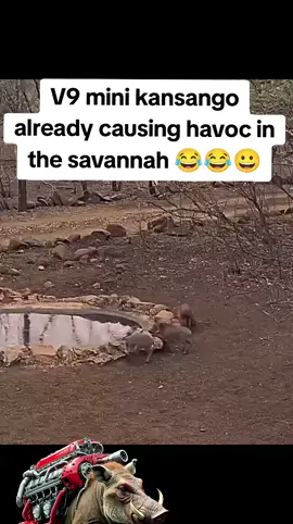 #viralvideo #explore #fypage #mr kansango the V9 automatic electric turbo engine already causing havoc in the savannah 😂😀😀