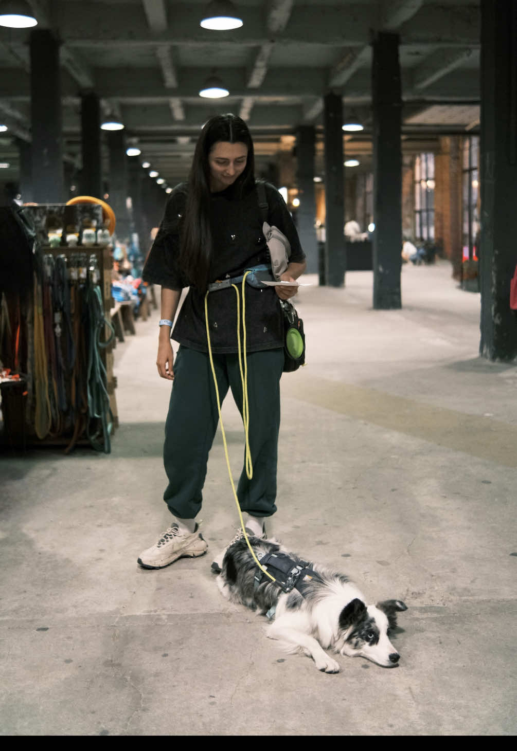 Якщо мене запитають, яка найцікавіша амуніція є у Джесі - сміливо скажу система-повідець від Ruffwear. #вихованнясобаки #життязсобакою #прогулянказсобакою #bordercollieukraine #тренуваннясобак 