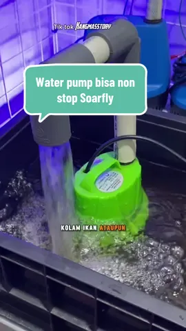 Water pump kolam ikan dan aquarium soarfly 50 watt #pompacelup #pompaair #pompapendorongair #pompakolam 