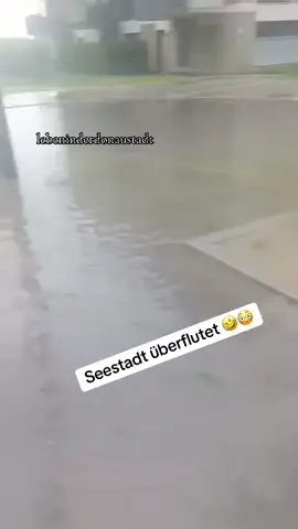 Wien ist anders !! Video aus dem 01.06.2025!!