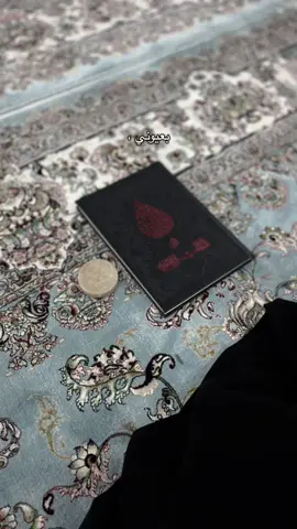 الدنيا كلهَ حسين🩶🩶🫂. #كربلاء_مدينة_العشق_والعاشقين #الامام_الحسين_عليه_السلام #سيد_سلام_الحسيني #fyppppppppppppppppppppppp #الشعب_الصيني_ماله_حل😂😂 