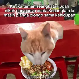 miayam nomer 1 #memekucing #memesdaily #memekucinglucu #memestiktok #jokes 