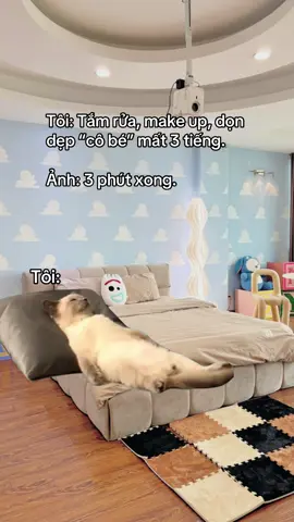 Ta nói công sức không xứng với thành quả luôn á 😣😣 #homestayhanoi #homestayriengtu #homestaygiare #homestaymaychieu #homestaycapdoi 