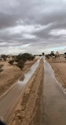 امطار #اكسبلور #شاص #سيول #