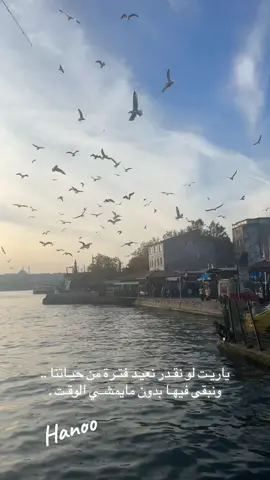 كبرنا على حين غفلة .. #اغنيه_تركيه #اكسبلور_تيك_توك❤️ #تركيا🇹🇷اسطنبول #البحر_الأسود🖤 #الطيور🕊 