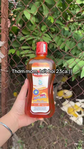 #valentine #nuocsucmieng #saothaiduong #saothaiduongpharma 