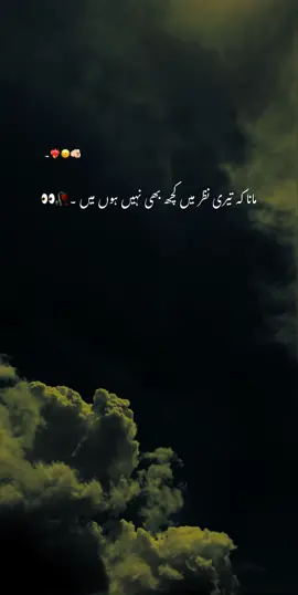 𝐇𝐚𝐲𝐄𝐞❤️‍🔥🦋 #hehe_afridy #foryou #grow #viral #fypシ 