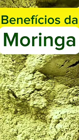 Chá de Moringa em Pó 100% Puro 500g 1Kg Premium Natural. #creatorsearchinsights #shopeehaul #moringa #kopimoringa 