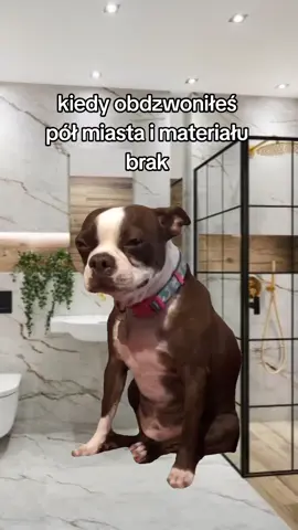 #Meme #MemeCut #CapCut 