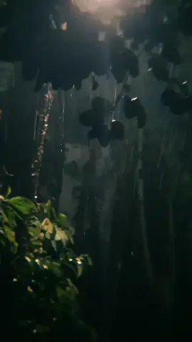 #hujan #hujanvibes #rain  #sad #fypシ゚ 