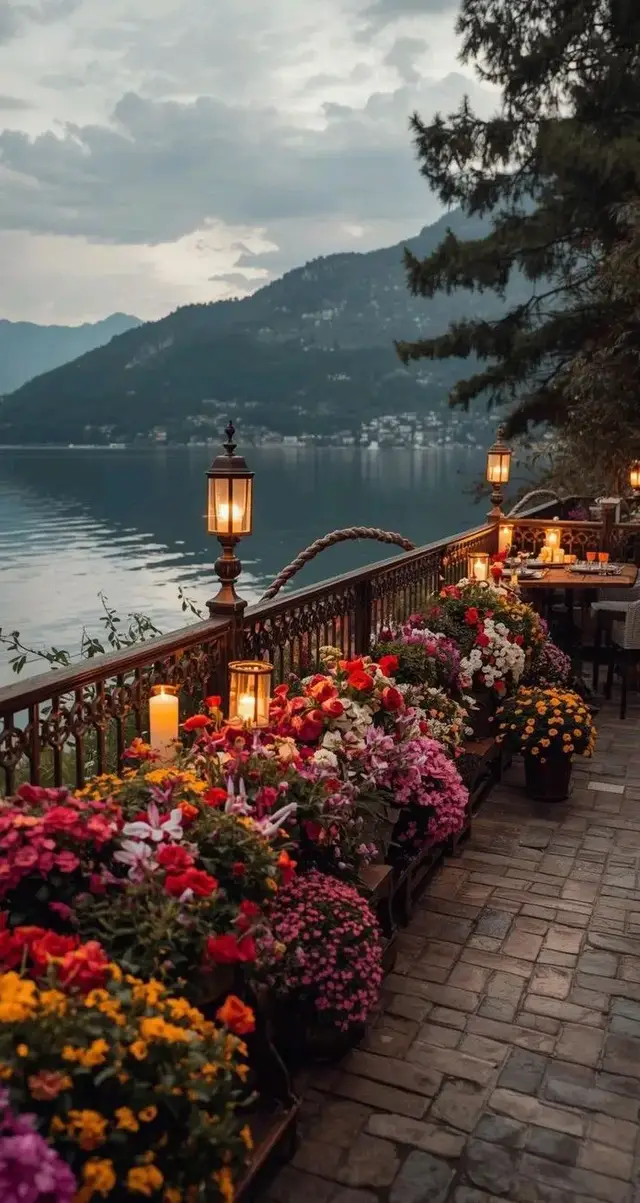 طلال مداح //