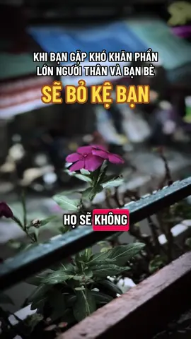 Họ sẽ lặng lẽ rời bỏ bạn hoặc kinh thường bạn#ngộ_để_an #phatphapnhiemmau #trending #cliptrieuview 